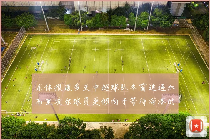 东体报道多支中超球队冬窗追逐加布里埃尔球员更倾向于等待海港的机会