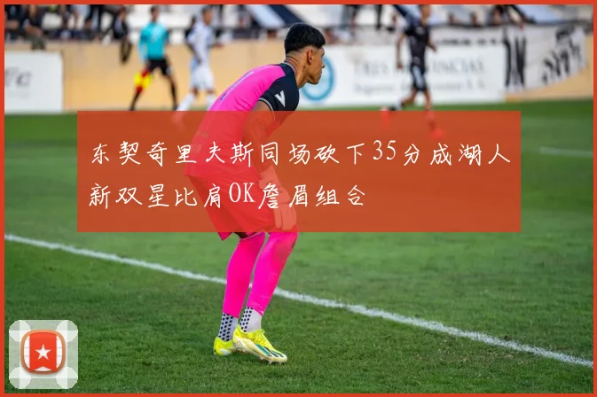 东契奇里夫斯同场砍下35分成湖人新双星比肩OK詹眉组合