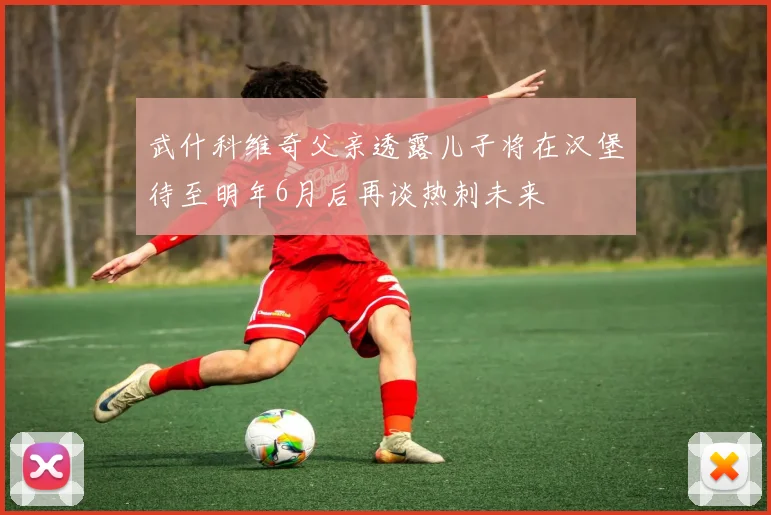 武什科维奇父亲透露儿子将在汉堡待至明年6月后再谈热刺未来